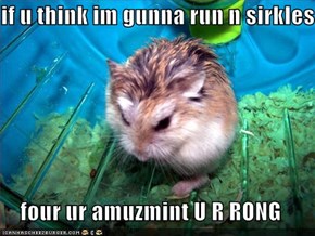 if u think im gunna run n sirkles  four ur amuzmint U R RONG