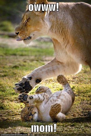 owww!  mom!