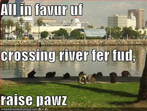 All in favur uf  crossing river fer fud,  raise pawz