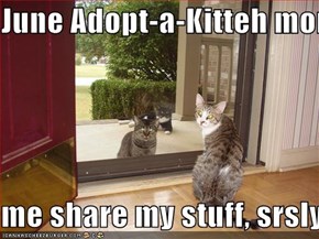 June Adopt-a-Kitteh momf  me share my stuff, srsly