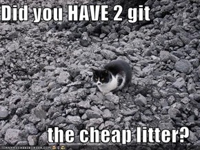 Did you HAVE 2 git  the cheap litter?