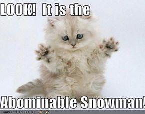 LOOK!  It is the   Abominable Snowman!!
