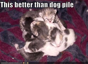 This better than dog pile