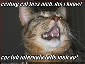ceiling cat luvs meh, dis i know!  cuz teh internets tells meh so!
