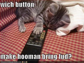 wich button  make hooman bring fud?