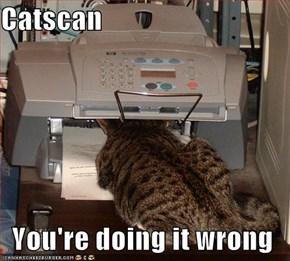 Catscan  You're doing it wrong