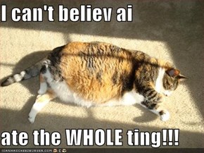 I can't believ ai  ate the WHOLE ting!!!