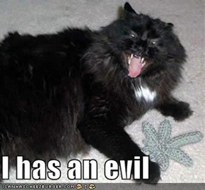 I has an evil