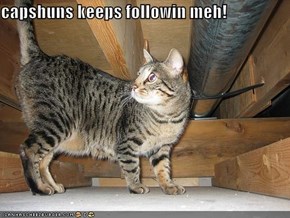 capshuns keeps followin meh!