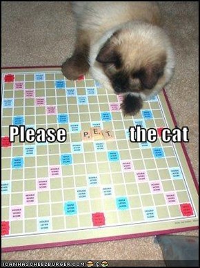Please                the cat