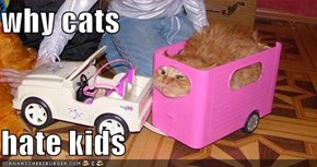 why cats  hate kids