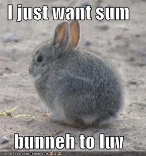 I just want sum   bunneh to luv