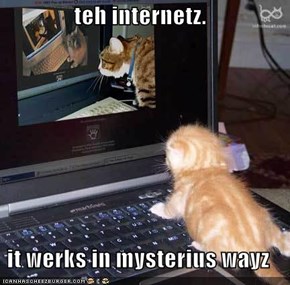 teh internetz.  it werks in mysterius wayz