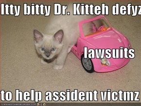 Itty bitty Dr. Kitteh defyz  lawsuits to help assident victmz