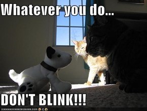 Whatever you do...  DON'T BLINK!!!
