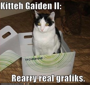 Kitteh Gaiden II:  Rearry real grafiks.