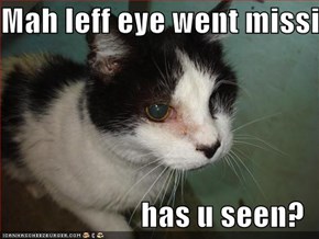 Mah leff eye went missing  has u seen?
