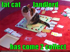 fat cat         landlord  has come 2 collect