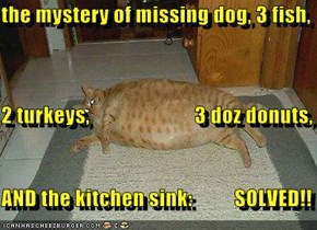 the mystery of missing dog, 3 fish, 2 turkeys,                         3 doz donuts,         AND the kitchen sink:          SOLVED!!