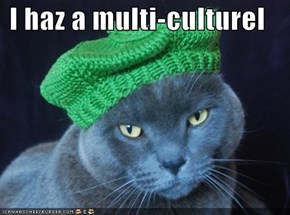 I haz a multi-culturel