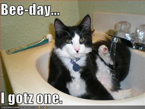 Bee-day...  I gotz one.