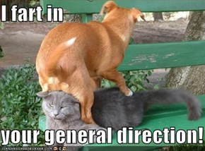I fart in    your general direction!