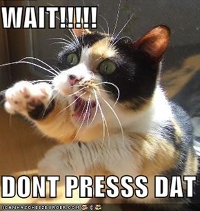 WAIT!!!!!  DONT PRESSS DAT