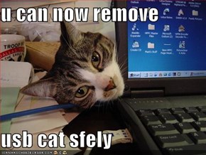 u can now remove  usb cat sfely
