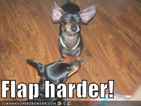 Flap harder!
