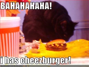 BAHAHAHAHA!  i has cheezburger!