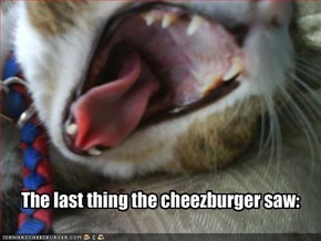 The last thing the cheezburger saw: