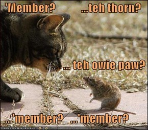 'Member?           ...teh thorn?                            ... teh owie paw?   ...'member?   ...'member?