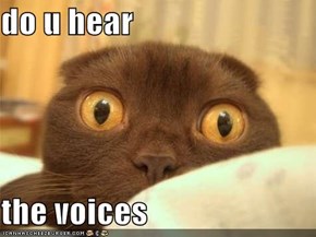 do u hear   the voices