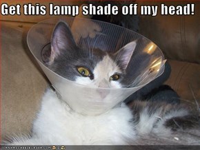 Get this lamp shade off my head!