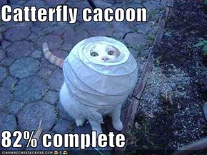 Catterfly cacoon  82% complete