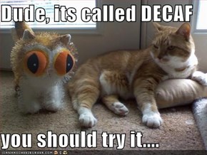 Dude, its called DECAF  you should try it....