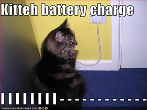 Kitteh battery charge  I I I I I I I I - - - - - - - - - - - -