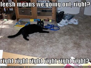 leesh means we going out, right?  right right right right right right?