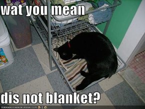 wat you mean  dis not blanket?