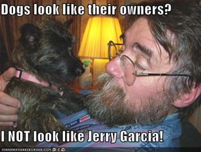 Dogs look like their owners?   I NOT look like Jerry Garcia!