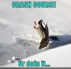 CRASH COURSE  Ur doin it...