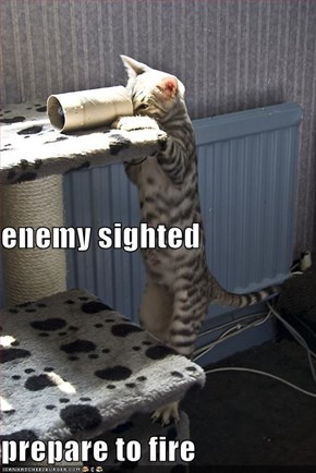enemy sighted prepare to fire