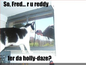 So, Fred... r u reddy         fer da holly-daze?