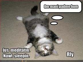 Jus  meditatin. Nawt  sleepin.