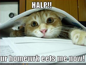 HALP!!  ur homewrk eets me now!