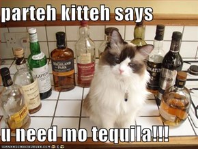 parteh kitteh says  u need mo tequila!!!