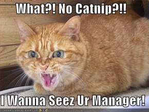 What?! No Catnip?!!  I Wanna Seez Ur Manager!
