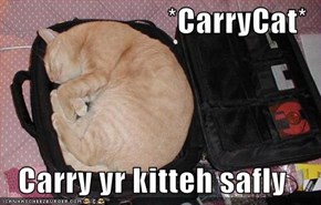 *CarryCat*  Carry yr kitteh safly
