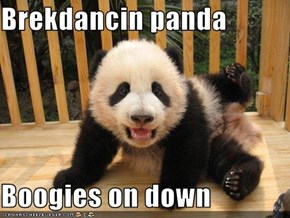 Brekdancin panda  Boogies on down