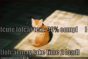 [cute lolcat text: 90% compl      ] (lolcat may take time 2 load)